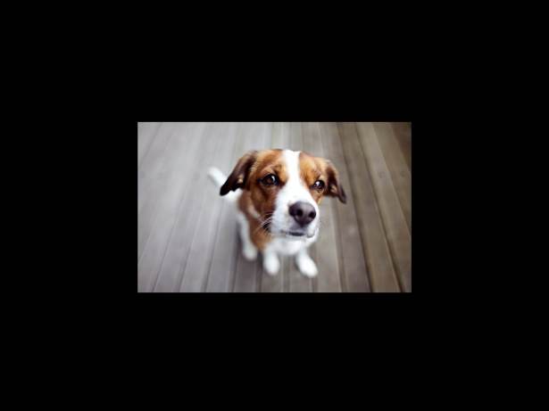 ábrázolási_rendszerek_19